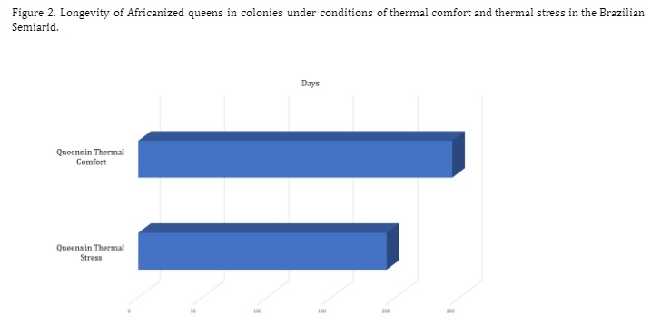 Figure 2. Longevity of Africanized queens in colonies under conditions of thermal comfort and thermal stress in the Brazilian Semiarid. 