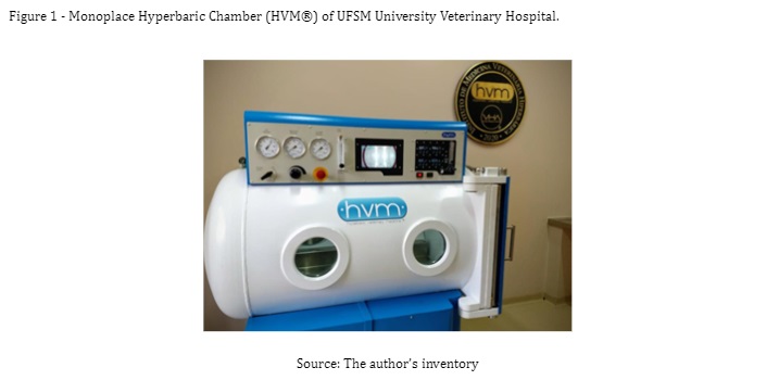 Figure 1 - Monoplace Hyperbaric Chamber (HVM®) of UFSM University Veterinary Hospital. 